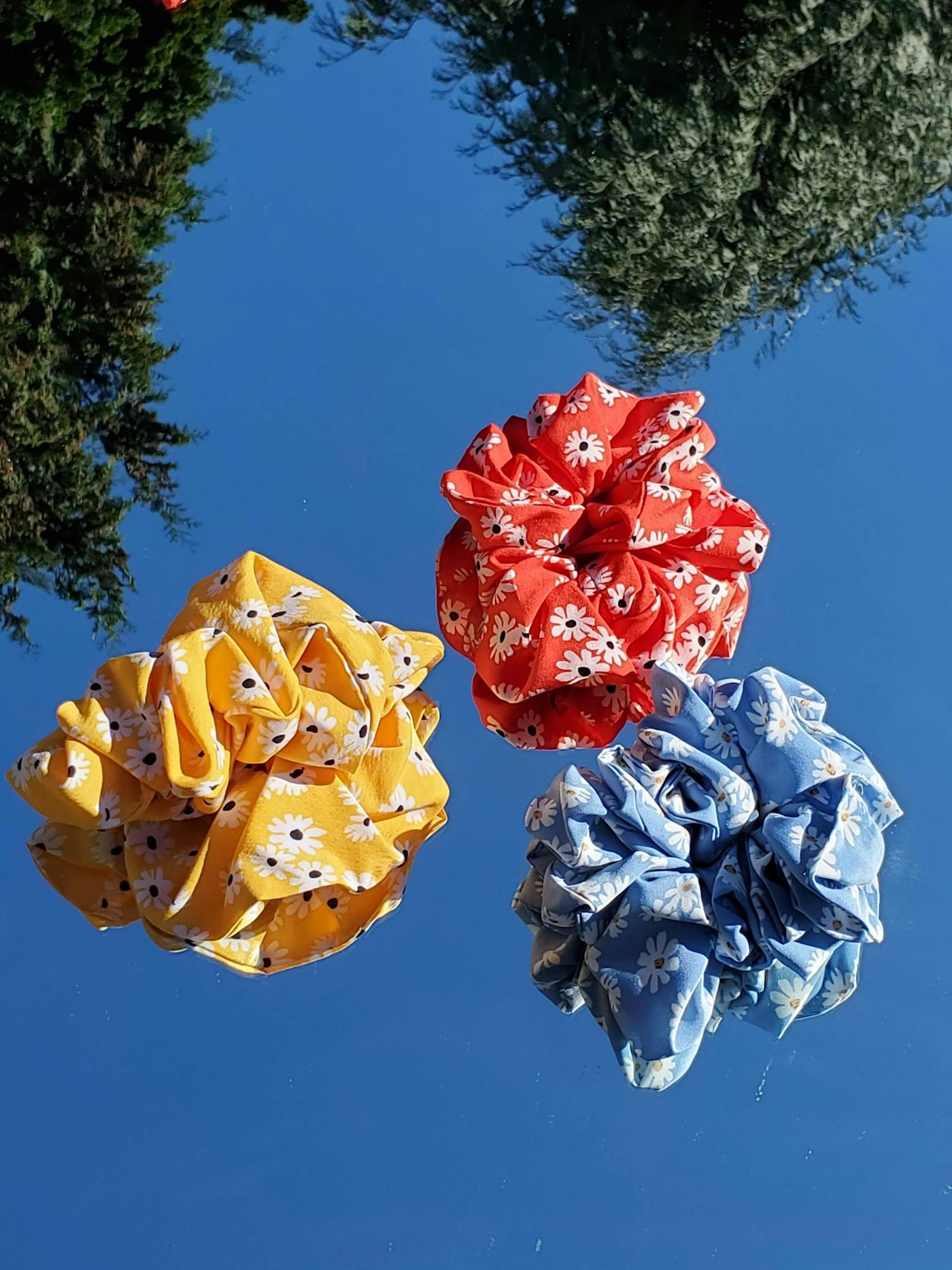 Ligas y moños de colores